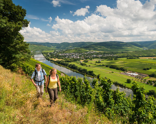 Weinwanderung an der Mosel