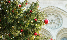 Weihnachtsbaum