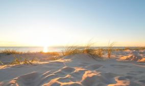 Nordsee Düne