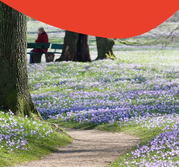 Frühling