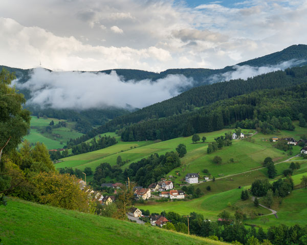 Schwarzwald