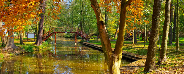 Der märchenhafte Spreewald